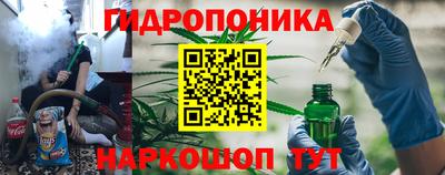 стаф Бузулук