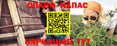 стаф Бузулук
