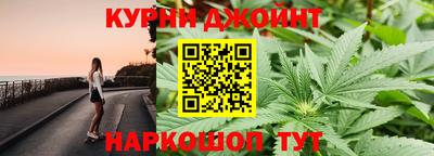 стаф Бузулук