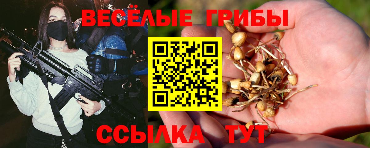 Псилоцибиновые грибы GOLDEN TEACHER  Псилоцибиновые грибы мухоморы  Мытищи  Вход с VPN 